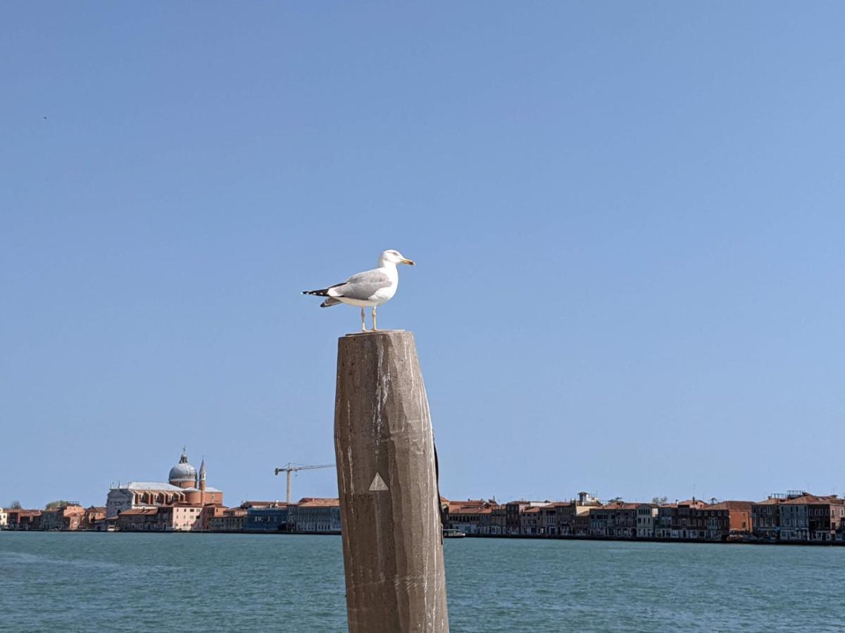 Red Tower Venice Apartment - 2 Mins From Vce Airport- Free Wifi تيسّيرا المظهر الخارجي الصورة